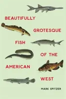 Krásne groteskné ryby amerického západu - Beautifully Grotesque Fish of the American West