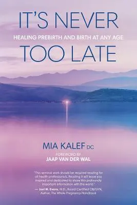 Nikdy nie je neskoro: Liečenie pred narodením a narodenie v každom veku - It's Never Too Late: Healing Prebirth And Birth At Any Age