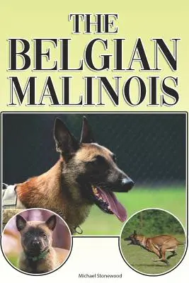 Belgický malinois: Belgický belgický pes: Kompletný a komplexný sprievodca pre začiatočníkov: Kúpa, vlastníctvo, zdravie, starostlivosť, výcvik, poslušnosť, porozumenie - The Belgian Malinois: A Complete and Comprehensive Beginners Guide To: Buying, Owning, Health, Grooming, Training, Obedience, Understanding
