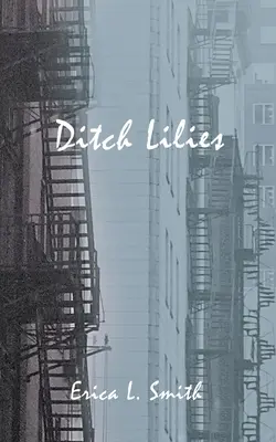 Lilie z priekopy - Ditch Lilies