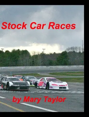 Automobilové preteky - Stock Car Races
