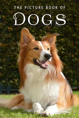 Obrázková kniha o psoch: darčeková kniha pre pacientov s Alzheimerovou chorobou a seniorov s demenciou - The Picture Book of Dogs: A Gift Book for Alzheimer's Patients and Seniors with Dementia