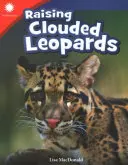 Výchova leopardov obláčikových - Raising Clouded Leopards
