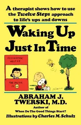 Prebúdzanie sa práve včas: Terapeutka ukazuje, ako využiť prístup Dvanástich krokov na životné vzostupy a pády - Waking Up Just in Time: A Therapist Shows How to Use the Twelve Steps Approach to Life's Ups and Downs