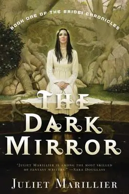 Temné zrkadlo: Prvá kniha Kroniky Bridei - The Dark Mirror: Book One of the Bridei Chronicles