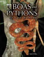 Jedovaté hady sveta - Venomous Snakes of the World