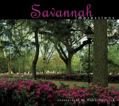 Dojmy zo Savannah - Savannah Impressions