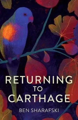 Návrat do Kartága - Returning to Carthage