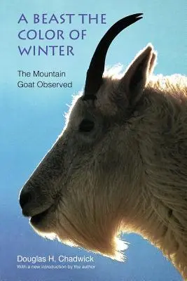 Zviera farby zimy: Pozorovanie horskej kozy - A Beast the Color of Winter: The Mountain Goat Observed