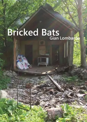 Zmuchlané netopiere - Bricked Bats