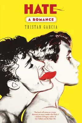 Nenávisť: Román - Hate: A Romance