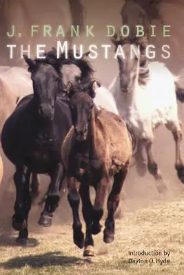 Mustangovia - The Mustangs