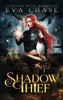 Zlodej tieňov - Shadow Thief