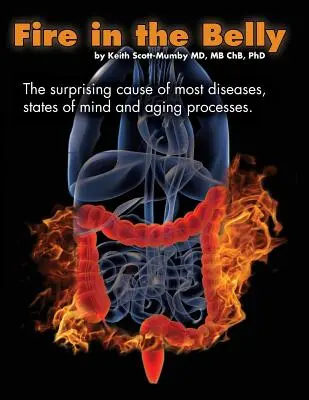 Oheň v bruchu: Prekvapujúca príčina väčšiny chorôb, stavov mysle a procesov starnutia - Fire In The Belly: The Surprising Cause of Most Diseases, States Of Mind and Aging Processes