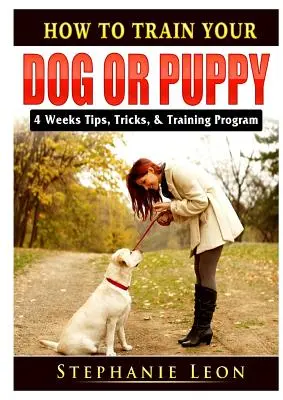 Ako vycvičiť psa alebo šteňa: Výcvikový program: 4 týždne tipov, trikov a výcviku - How to Train Your Dog or Puppy: 4 Weeks Tips, Tricks, & Training Program