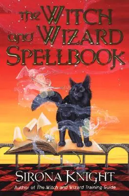 Kniha čarodejníc a čarodejníkov - The Witch and Wizard Spellbook