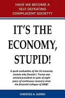 Za to môže ekonomika, hlupák - It's the Economy, Stupid