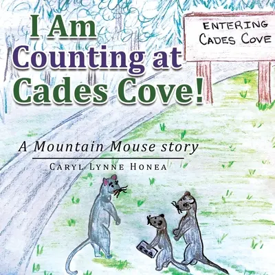 Počítam v Cades Cove! Príbeh o horskej myši - I Am Counting at Cades Cove!: A Mountain Mouse Story