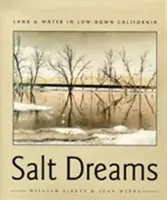 Soľné sny: Pôda a voda v Kalifornii v nížinách - Salt Dreams: Land and Water in Low-Down California