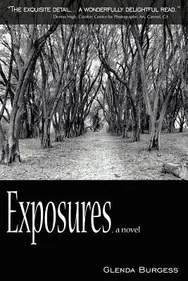 Expozitúry, román - Exposures, a novel