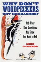 Prečo ďatle nebolí hlava? A ďalšie otázky o vtákoch, ktoré by ste sa chceli opýtať - Why Don't Woodpeckers Get Headaches?: And Other Bird Questions You Know You Want to Ask