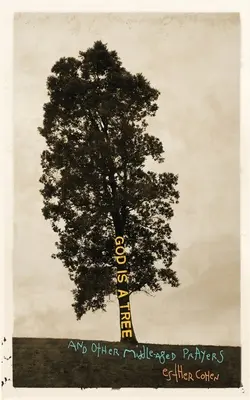 Boh je strom: a iné modlitby v strednom veku - God Is a Tree: and Other Middle-Aged Prayers