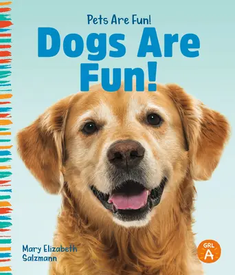Psy sú zábavné! - Dogs Are Fun!
