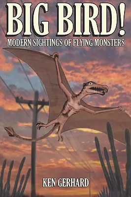 Veľký vták! - Moderné pozorovania lietajúcich príšer - Big Bird! - Modern Sightings of Flying Monsters