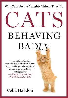 Mačky sa správajú zle - Cats Behaving Badly