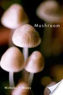Huby - Mushroom