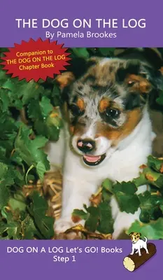 Pes na kláte: (Krok 1) Zvukové knihy (systematické dekódovanie) pomáhajú rozvíjajúcim sa čitateľom vrátane tých s dyslexiou naučiť sa čítať - The Dog On The Log: (Step 1) Sound Out Books (systematic decodable) Help Developing Readers, including Those with Dyslexia, Learn to Read
