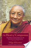 Srdce súcitu: Tridsaťsedem veršov o praxi bódhisattvu - The Heart of Compassion: The Thirty-Seven Verses on the Practice of a Bodhisattva