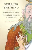 Upokojenie mysle: Učenie šamatha z esencie vadžra Duddžoma Lingpu - Stilling the Mind: Shamatha Teachings from Dudjom Lingpa's Vajra Essence