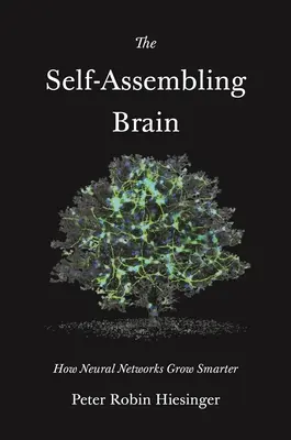 Samoskladajúci sa mozog: Ako neurónové siete rastú na inteligentnejšie - The Self-Assembling Brain: How Neural Networks Grow Smarter