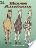 Anatómia koní - Horse Anatomy