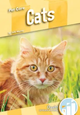 Mačky - Cats