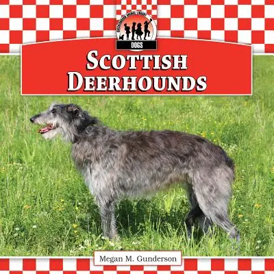 Škótske deerhoundy - Scottish Deerhounds