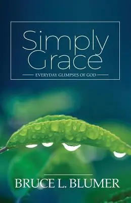 Jednoducho milosť: Každodenné záblesky Boha - Simply Grace: Everyday Glimpses of God