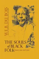 Duše černošského ľudu: Eseje a náčrty - The Souls of Black Folk: Essays and Sketches