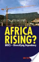 Africa Rising? Brics - diverzifikácia závislosti - Africa Rising?: Brics - Diversifying Dependency