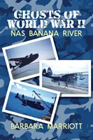 Prízraky druhej svetovej vojny: NAS Banana River - Ghosts of World War II: NAS Banana River