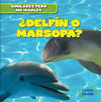 Delfin O Marsopa? (Delfín alebo morský vlk?) - Delfin O Marsopa? (Dolphin or Porpoise?)