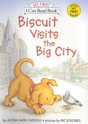 Piškót na návšteve vo veľkomeste - Biscuit Visits the Big City