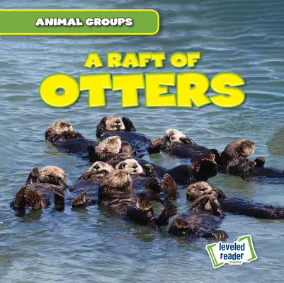 Plť vydier - A Raft of Otters