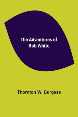 Dobrodružstvá Boba Whitea - The Adventures of Bob White