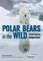 Ľadové medvede vo voľnej prírode: vizuálna esej o ohrozenom druhu - Polar Bears in the Wild: A Visual Essay of an Endangered Species