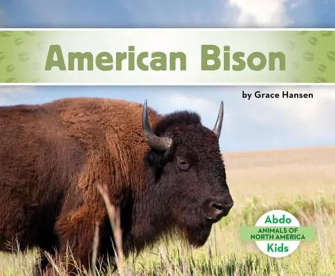Bizón americký - American Bison