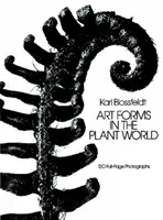 Umelecké formy vo svete rastlín - Art Forms in the Plant World