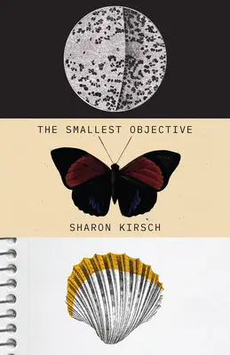 Najmenší cieľ - The Smallest Objective