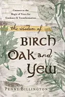 Múdrosť brezy, duba a tisu: Prepojte sa s mágiou stromov a získajte vodcovstvo a transformáciu - The Wisdom of Birch, Oak, and Yew: Connect to the Magic of Trees for Guidance & Transformation